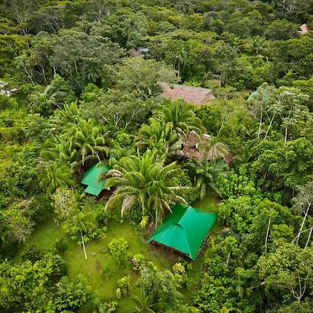 Tronco Tambopata Adventure Hotel ปูแอร์โต มัลโดนาโด ภายนอก รูปภาพ