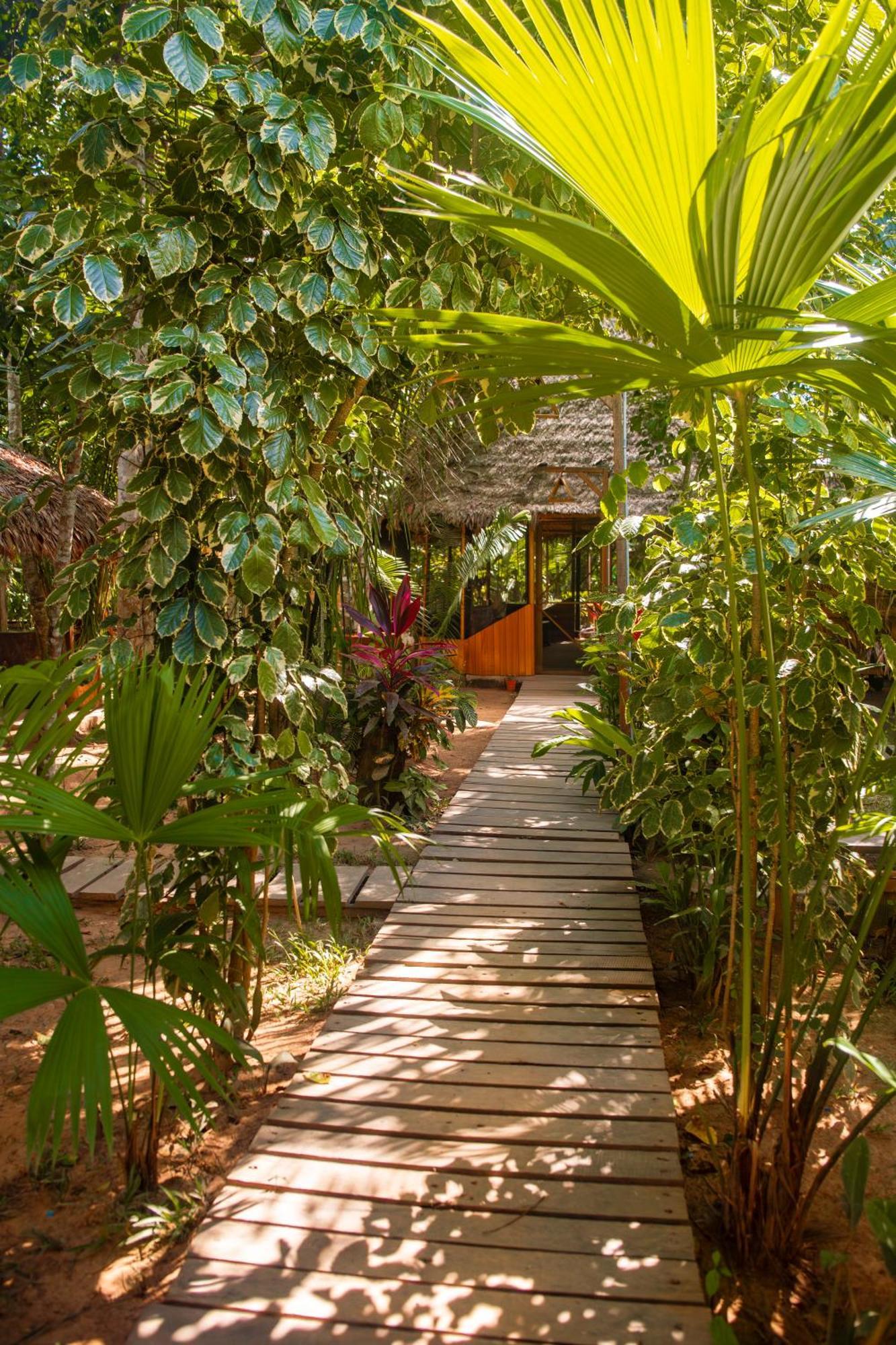 Tronco Tambopata Adventure Hotel ปูแอร์โต มัลโดนาโด ภายนอก รูปภาพ
