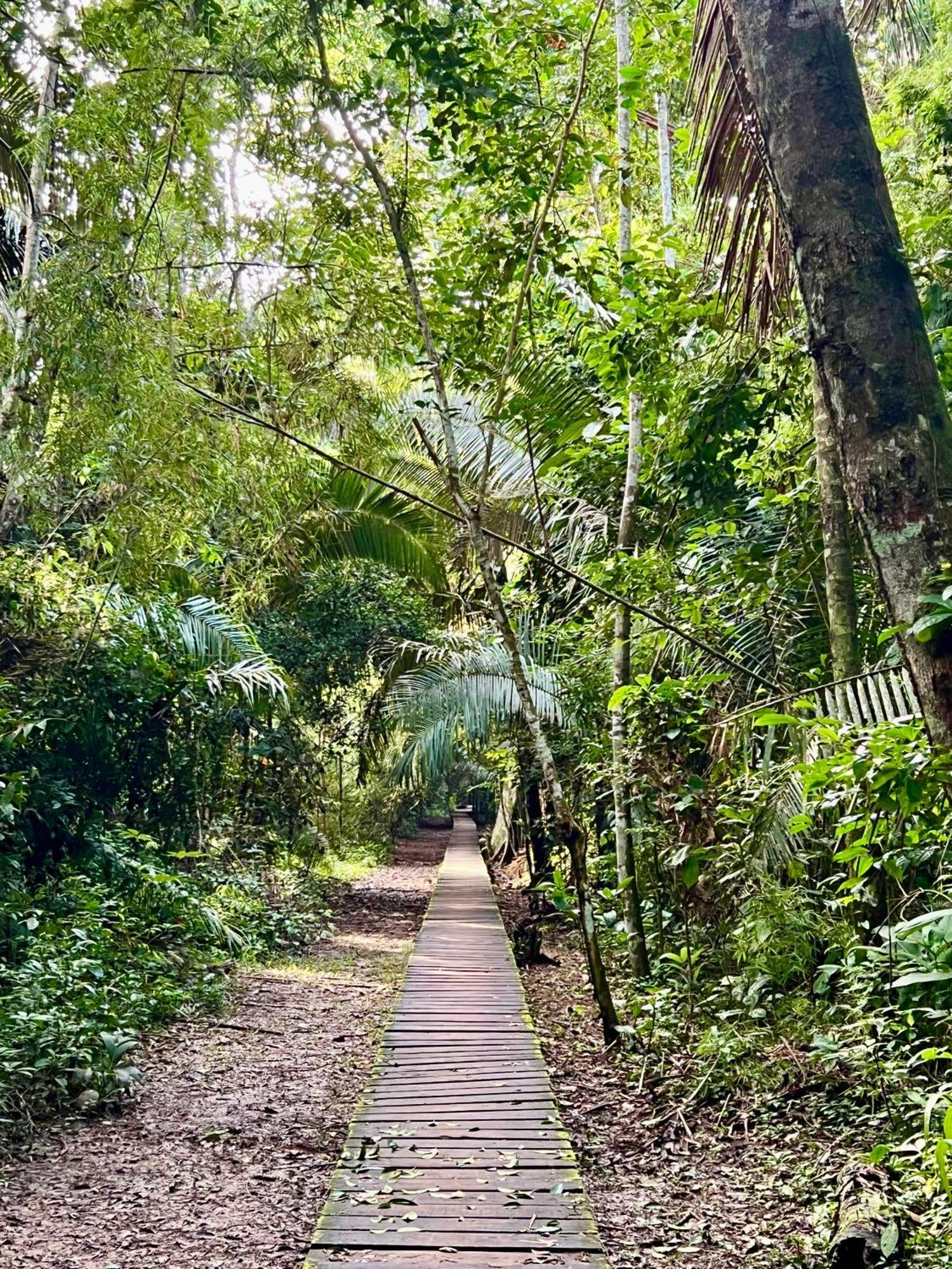 Tronco Tambopata Adventure Hotel ปูแอร์โต มัลโดนาโด ภายนอก รูปภาพ