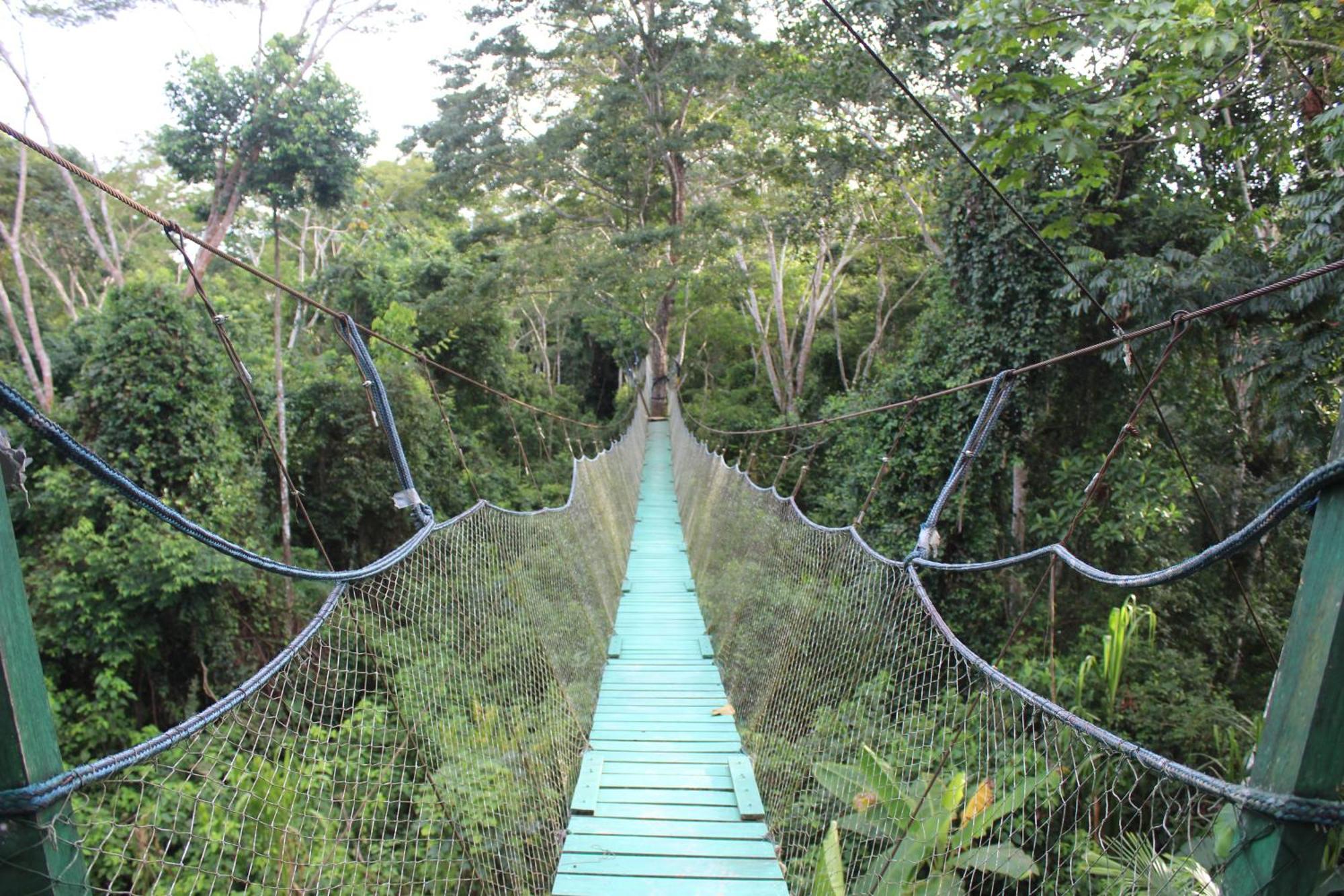 Tronco Tambopata Adventure Hotel ปูแอร์โต มัลโดนาโด ภายนอก รูปภาพ