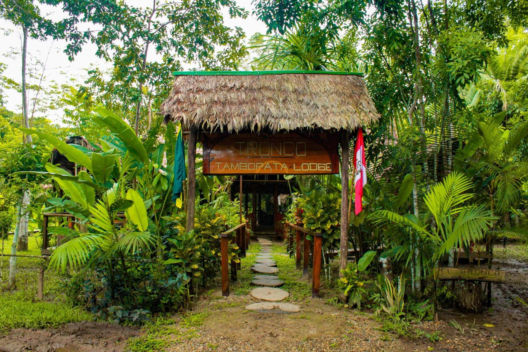Tronco Tambopata Adventure Hotel ปูแอร์โต มัลโดนาโด ภายนอก รูปภาพ