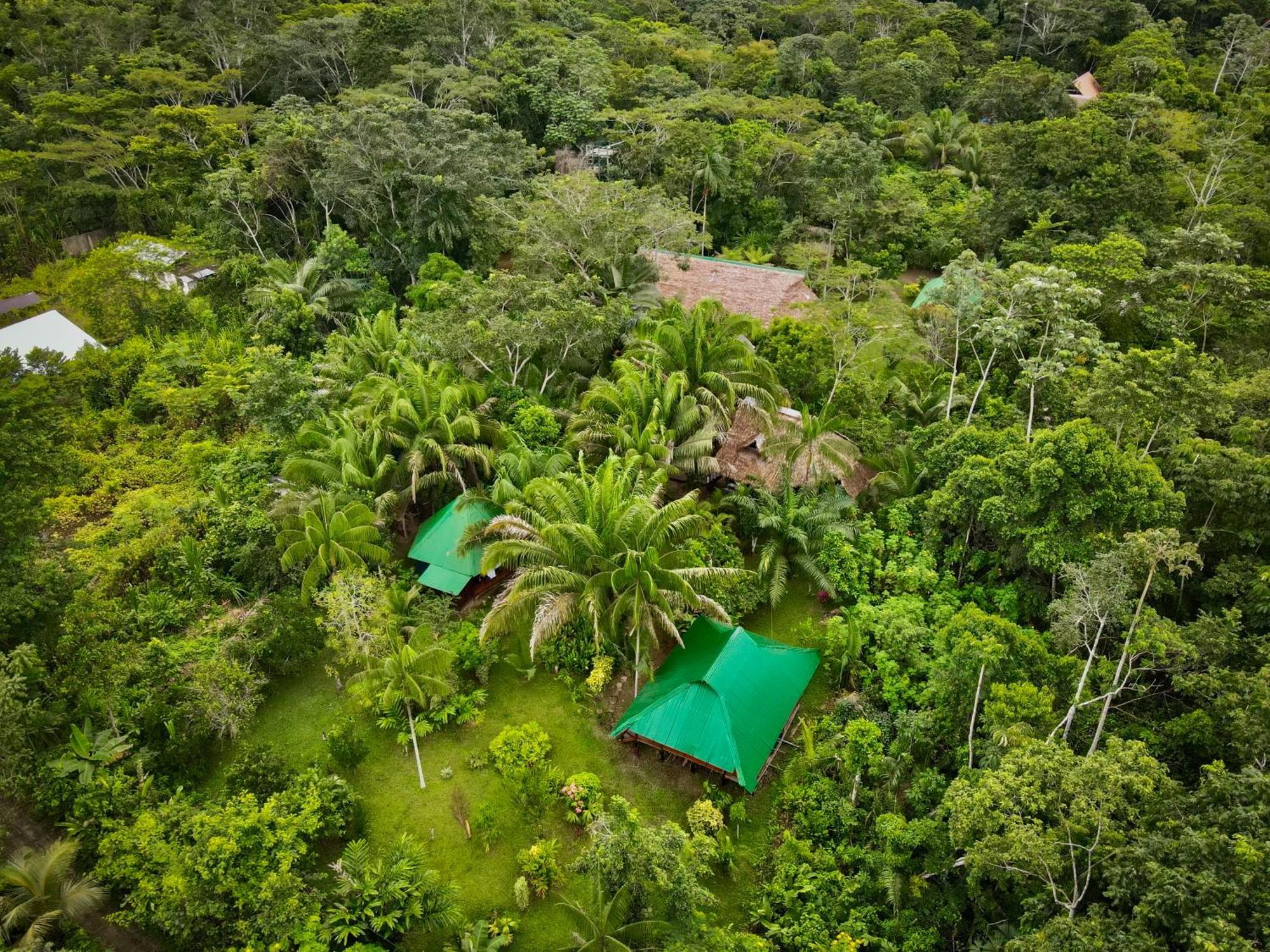 Tronco Tambopata Adventure Hotel ปูแอร์โต มัลโดนาโด ภายนอก รูปภาพ
