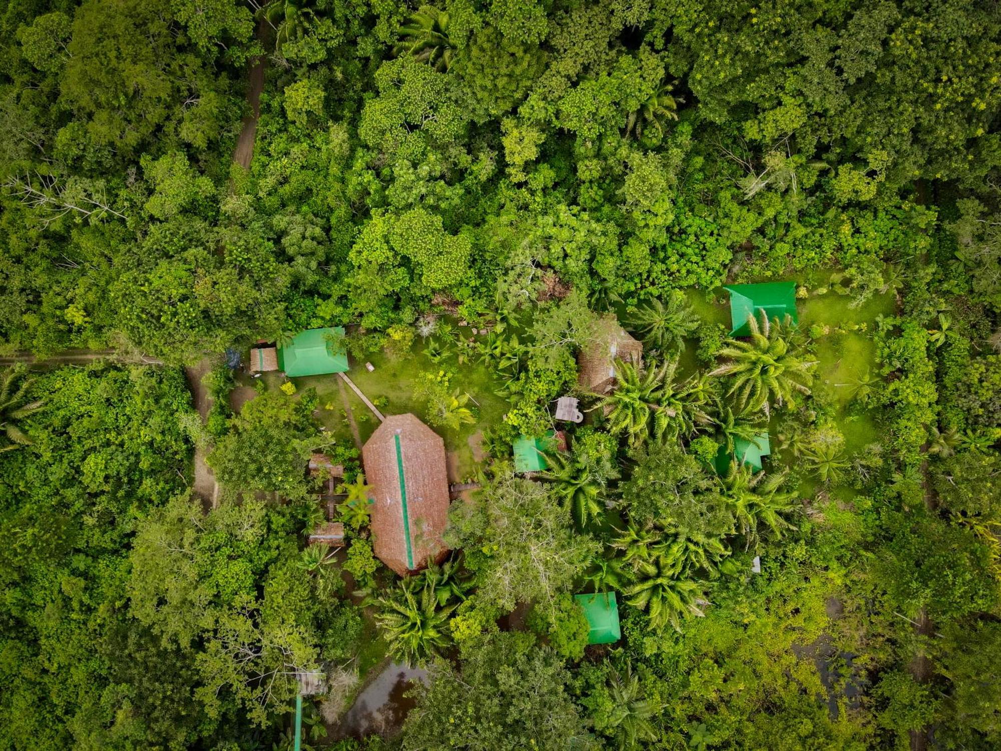 Tronco Tambopata Adventure Hotel ปูแอร์โต มัลโดนาโด ภายนอก รูปภาพ
