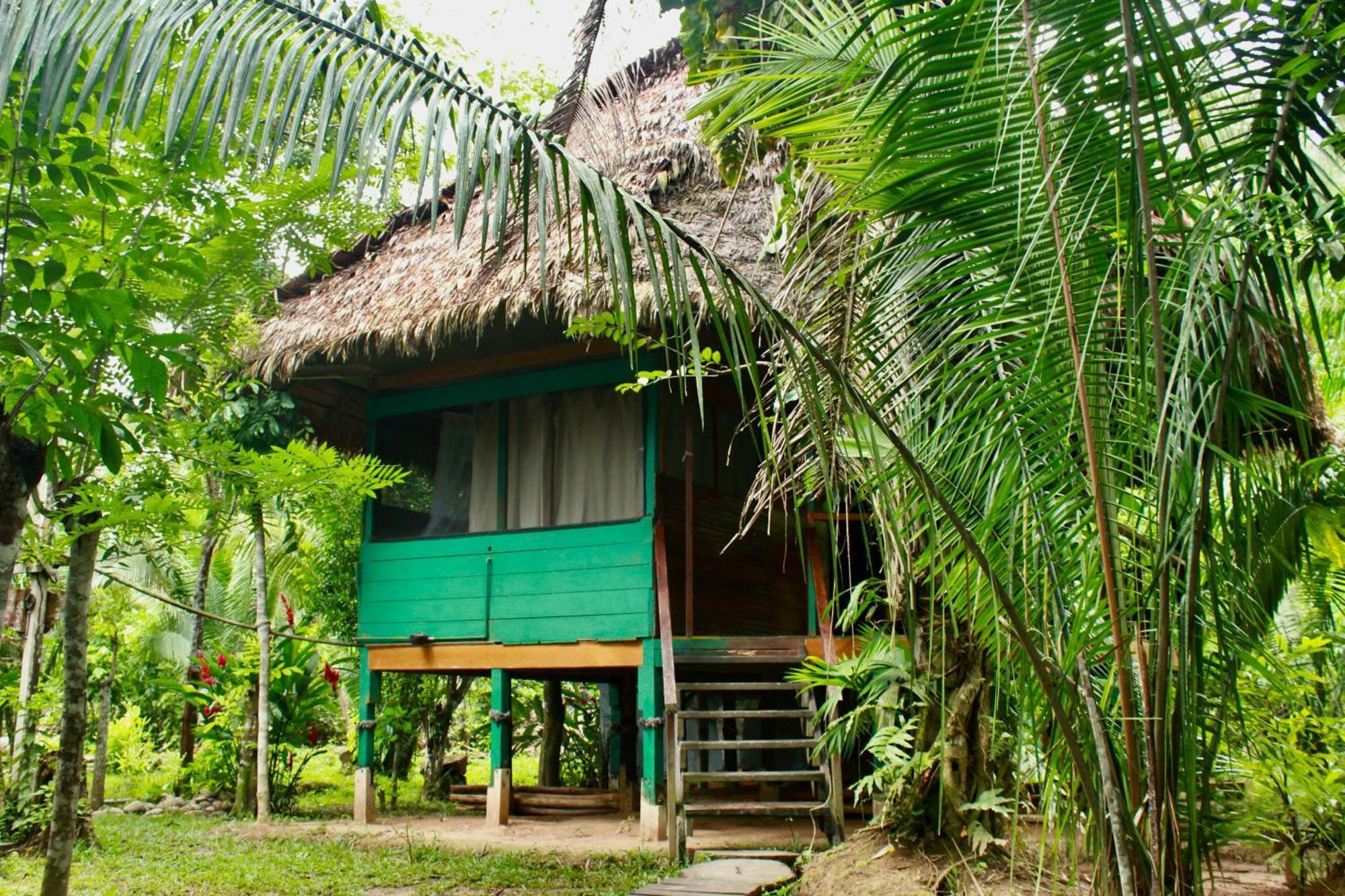 Tronco Tambopata Adventure Hotel ปูแอร์โต มัลโดนาโด ภายนอก รูปภาพ